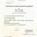 Powiększ obraz: certificate 3