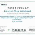 Powiększ obraz: certificate 31