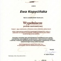 Powiększ obraz: certificate 5