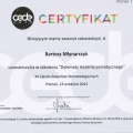 Powiększ obraz: certificate 9