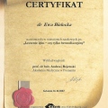 Powiększ obraz: certificate 26