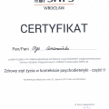 Powiększ obraz: certificate 2