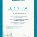 Powiększ obraz: certificate 12