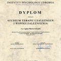 Powiększ obraz: certificate 7