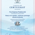 Powiększ obraz: certificate 17