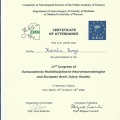 Powiększ obraz: certificate 14