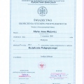 Powiększ obraz: certificate 4