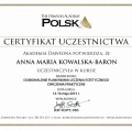Powiększ obraz: certificate 2