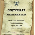 Powiększ obraz: certificate 10
