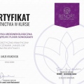 Powiększ obraz: certificate 8