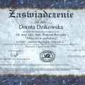 Powiększ obraz: certificate 2