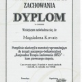 Powiększ obraz: certificate 6