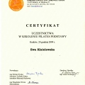 Powiększ obraz: certificate 8