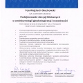 Powiększ obraz: certificate 10