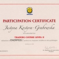 Powiększ obraz: certificate 6