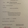 Powiększ obraz: certificate 4