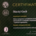 Powiększ obraz: certificate 11