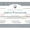 Powiększ obraz: certificate 24