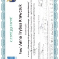 Powiększ obraz: certificate 9