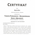 Powiększ obraz: certificate 9