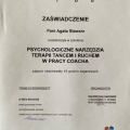 Powiększ obraz: certificate 3