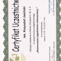 Powiększ obraz: certificate 16