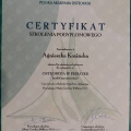 Powiększ obraz: certificate 8
