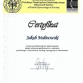 Powiększ obraz: certificate 1