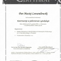 Powiększ obraz: certificate 21