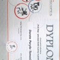 Powiększ obraz: certificate 5
