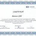 Powiększ obraz: certificate 9