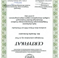 Powiększ obraz: certificate 3