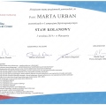 Powiększ obraz: certificate 9