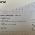 Powiększ obraz: certificate 8
