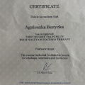 Powiększ obraz: certificate 2