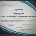 Powiększ obraz: certificate 1