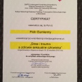 Powiększ obraz: certificate 14
