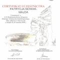 Powiększ obraz: certificate 4