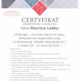 Powiększ obraz: certificate 3