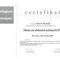 Powiększ obraz: certificate 4