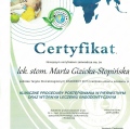 Powiększ obraz: certificate 40