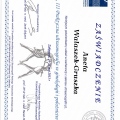 Powiększ obraz: certificate 45