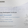 Powiększ obraz: certificate 9