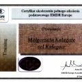 Powiększ obraz: certificate 4