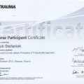 Powiększ obraz: certificate 11