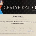Powiększ obraz: certificate 14