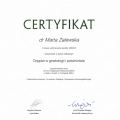 Powiększ obraz: certificate 11