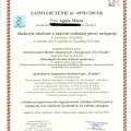 Powiększ obraz: certificate 5