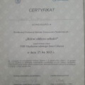 Powiększ obraz: certificate 11