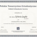 Powiększ obraz: certificate 8